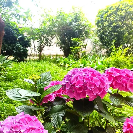 Dream Con Giardino Apartman Trieszt