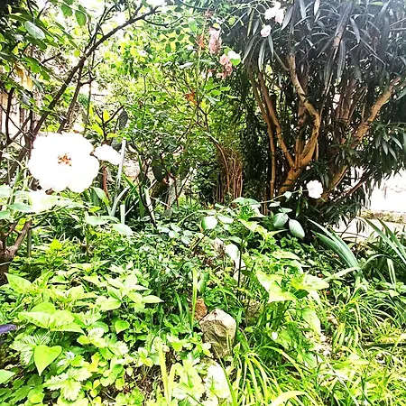Dream Con Giardino Apartman